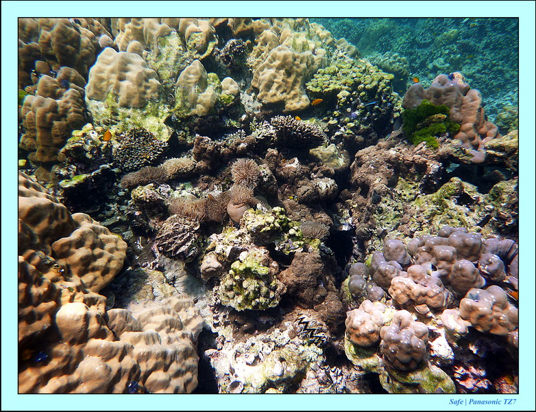 2011 - 03 - Koh Rok 25